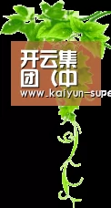 开云集团（中国）官方 - 综合综合体育门户